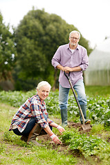 Image showing senior couple working in garden or at summer farm