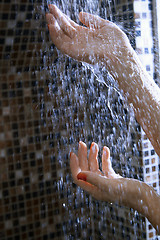 Image showing Hands of woman in shower