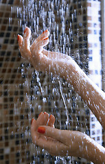 Image showing Hands of woman in shower