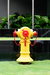 Image showing Fire hydrant