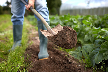 Image showing man with shovel digging garden bed or farm