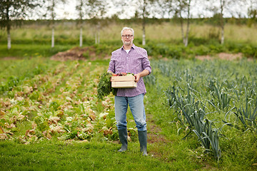 Image showing old man with box of vegetables at farm garden