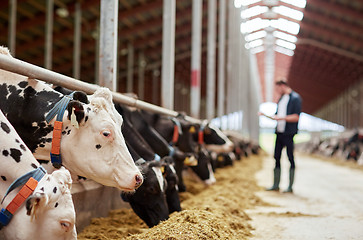 Image showing herd of cows eating hay in cowshed on dairy farm