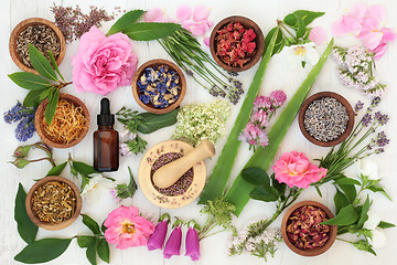 Image showing Healing Flowers and Herbs