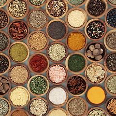 Image showing Herb and Spice Seasoning Sampler