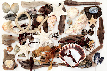 Image showing Driftwood, Seashell and Seaweed Abstract Background.