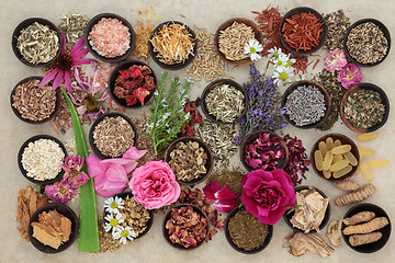 Image showing Herbs and Flowers for Skin Disorders