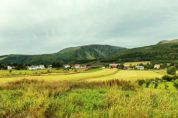 Image showing agricultural land