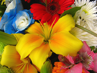 Image showing bunch of flowers