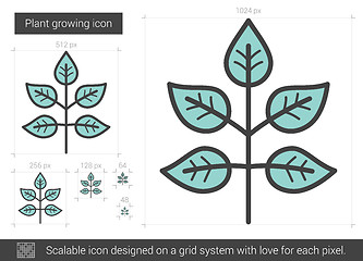 Image showing Plant growing line icon.