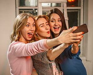 Image showing Group of friends girls making selfie photo