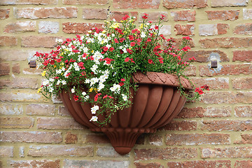 Image showing Flowers in clay pot