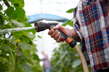 Image showing farmer with garden hose watering at greenhouse