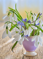 Image showing Beautiful bouquet of snowdrops in vase