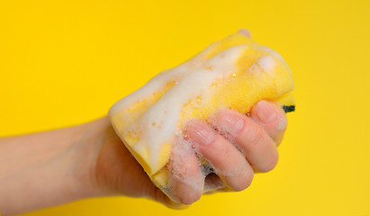 Image showing Hand with sponge with foam