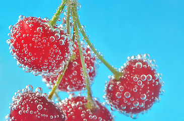 Image showing Cherry and bubbles 