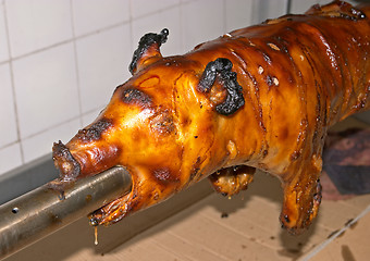 Image showing Roasted pork, traditional Portuguese recipe, Lisbon, Portugal