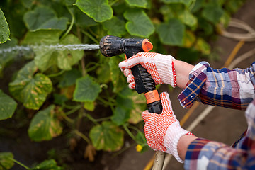 Image showing farmer with garden hose watering at greenhouse