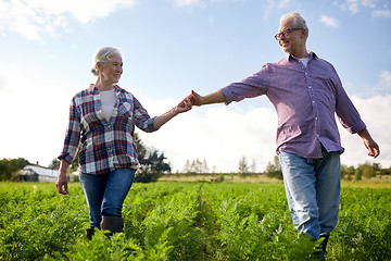 Image showing happy senior couple holding hands at summer farm