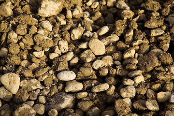 Image showing Pebbles on ground