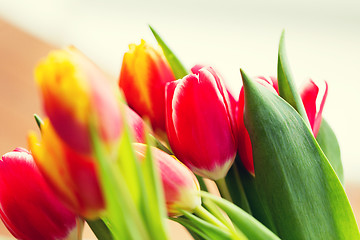 Image showing close up of tulip flowers