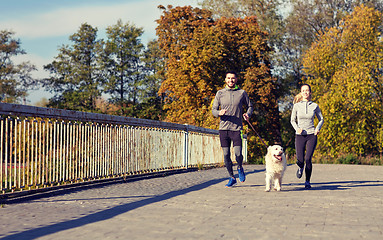 Image showing happy couple with dog running outdoors