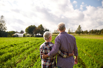 Image showing happy senior couple at summer farm