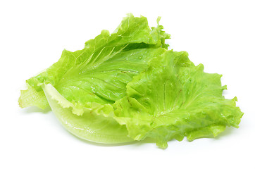 Image showing Green Chinese lettuce