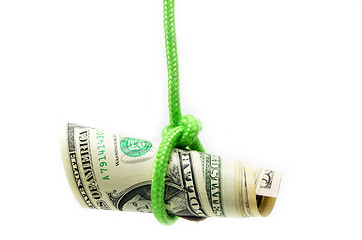 Image showing Dangling US dollar