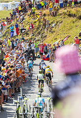 Image showing Group of Favorites on Col du Glandon - Tour de France 2015