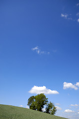 Image showing Tree on hill