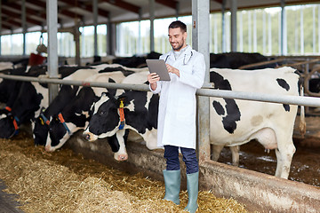 Image showing veterinarian with tablet pc and cows on dairy farm