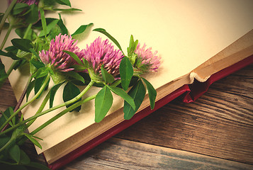 Image showing clover flowers and old album