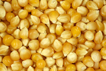 Image showing Corn