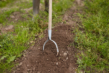 Image showing rearer weeding garden bed at farm