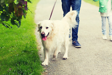 Image showing close up of family with labrador dog in park