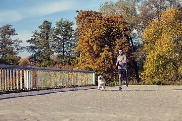 Image showing happy man with labrador dog running outdoors