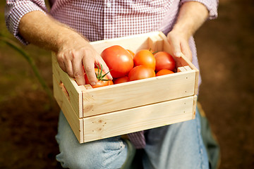 Image showing senior man or farmer with box of tomatoes at farm