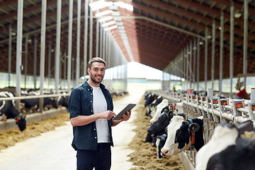 Image showing young man with tablet pc and cows on dairy farm