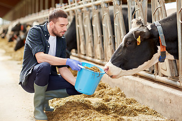 Image showing man with cows and bucket in cowshed on dairy farm