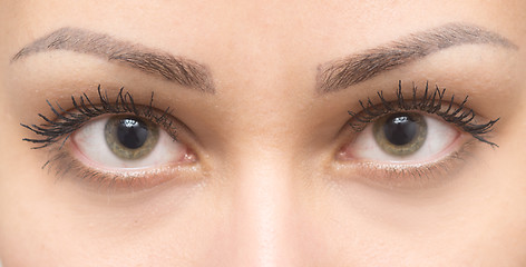 Image showing beautiful woman eyes