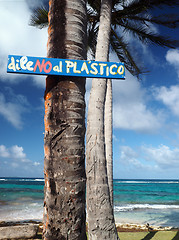 Image showing sign coconut palm tree saying \