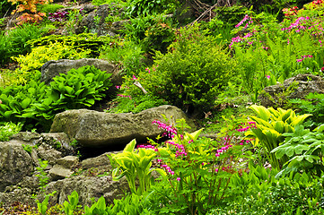 Image showing Rock garden