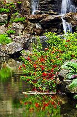 Image showing Cascading waterfall and pond