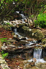 Image showing Creek with waterfalls