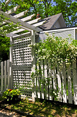 Image showing White trellis in a garden