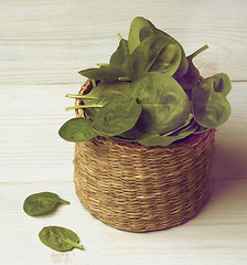 Image showing Raw Spinach Leafs