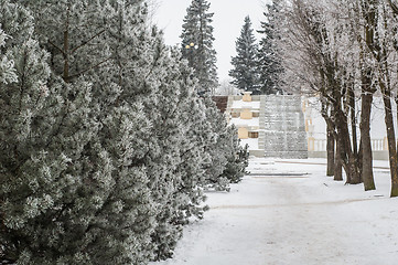 Image showing City park in the winter, the trees covered with hoarfrost