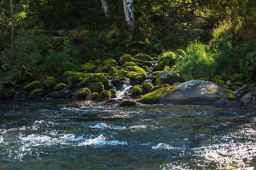 Image showing Fast mountain river in Altay