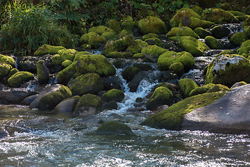 Image showing Fast mountain river in Altay